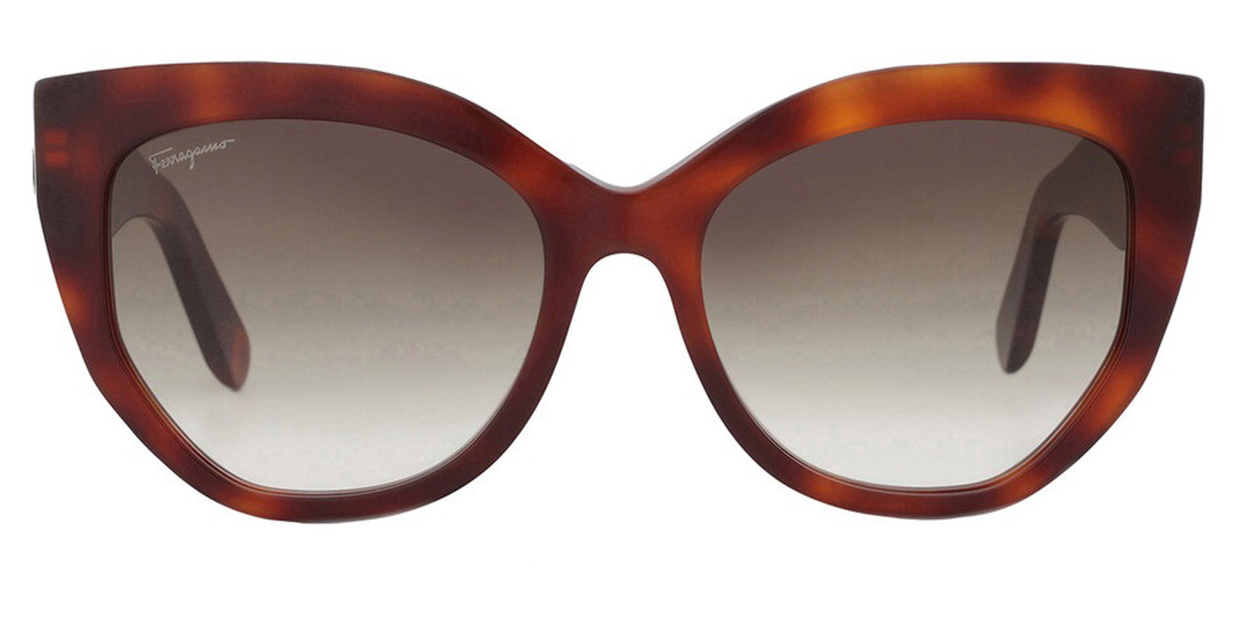 Ferragamo Women Tortoise Cat Eye Sunglasses SF1061S-240 Brown Gradient Lens 56mm