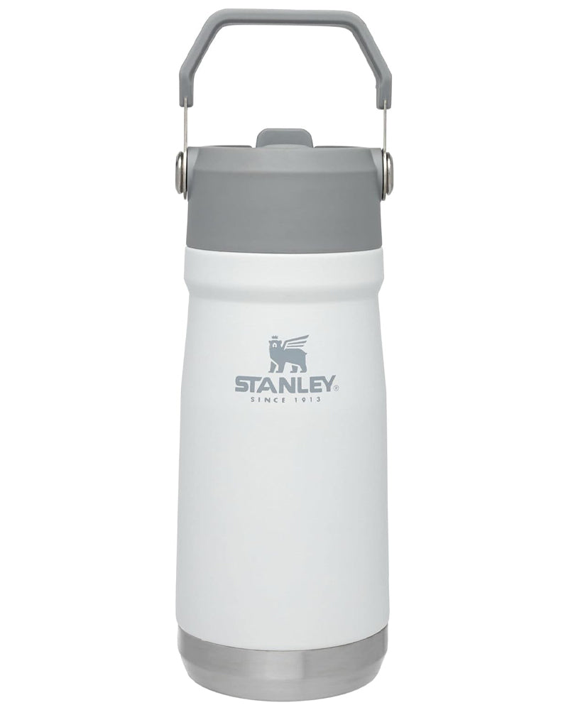 Stanley The IceFlow Flip Straw Water Bottle 17 Oz Polar 10-09991-001