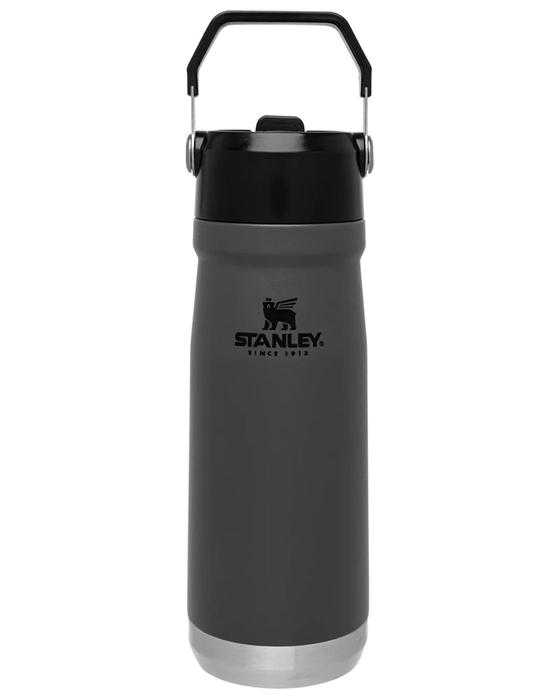 Stanley The IceFlow Flip Straw Water Bottle 22 Oz Charcoal 10-09992-002