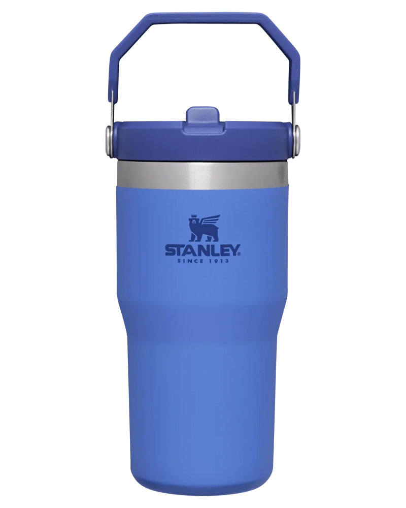 Stanley The IceFlow Flip Straw Tumbler 20 Oz Iris 10-09994-130