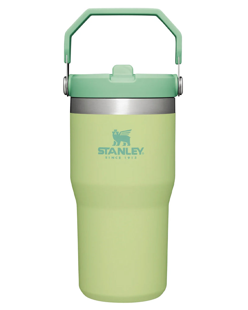 Stanley The IceFlow Flip Straw Tumbler 20 Oz Citron 10-09994-134