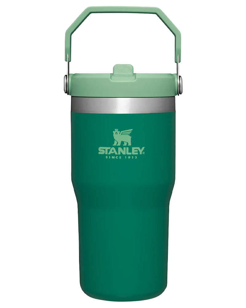 Stanley The IceFlow Flip Straw Tumbler 20 Oz Alpine 10-09994-136