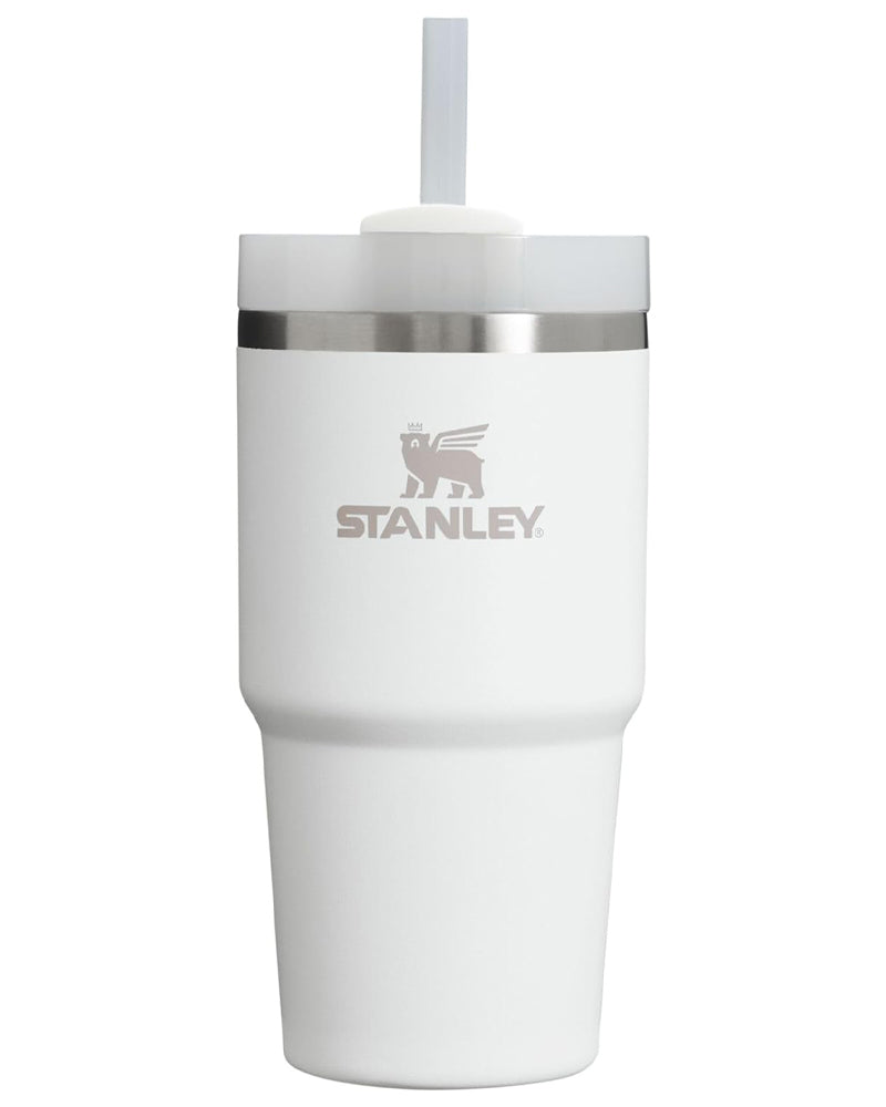 Stanley The Quencher H2.0 FlowState Tumbler 20 Oz Frost 10-10826-145